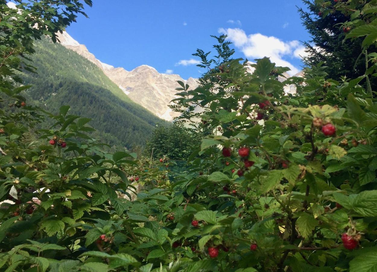 Appartamento Casa Weisstor Con Patio, Giardino E Orti Vista Monte Rosa Macugnaga Eksteriør bilde
